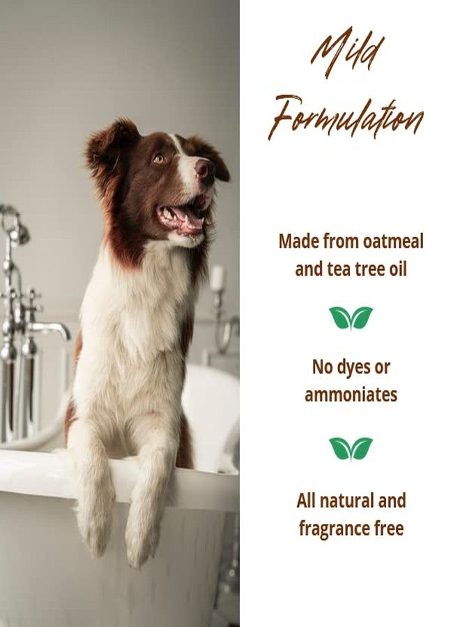Allersearch Pet+ Oatmeal Anti-Allergen Dog Shampoo 16 oz - Image 5